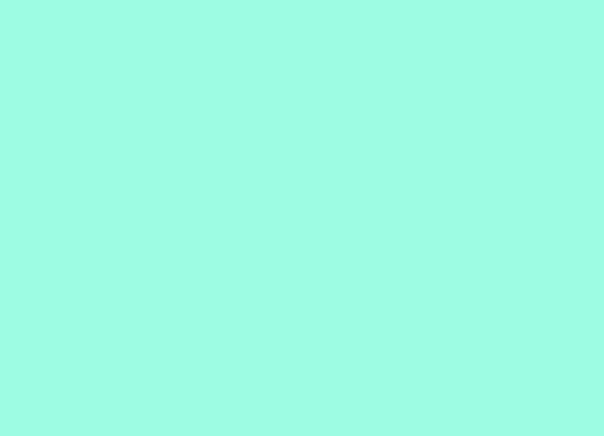Rectangle 1 copy-2.png