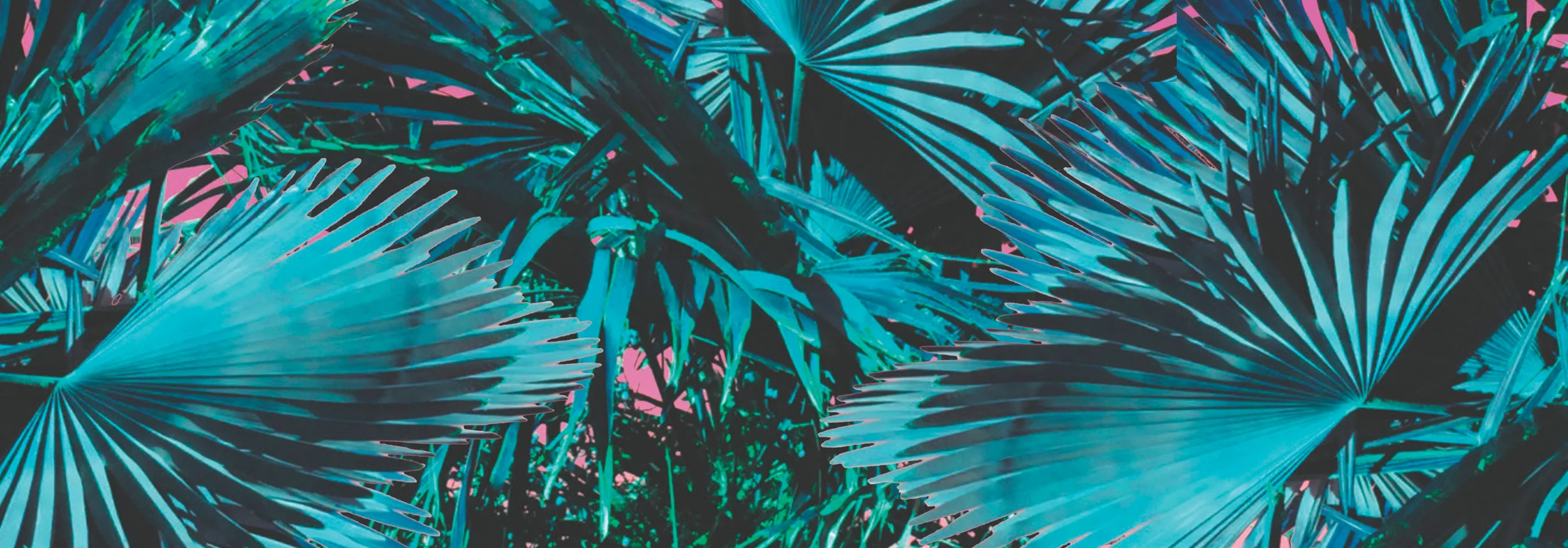 LCD LDN Summer 16 Website Banner.jpg